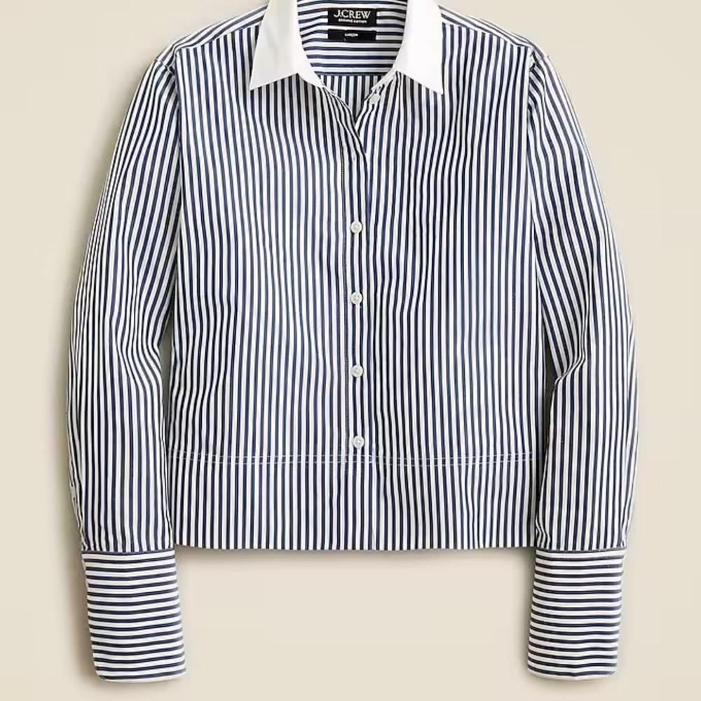 J. Crew Navy and White Striped Shirt